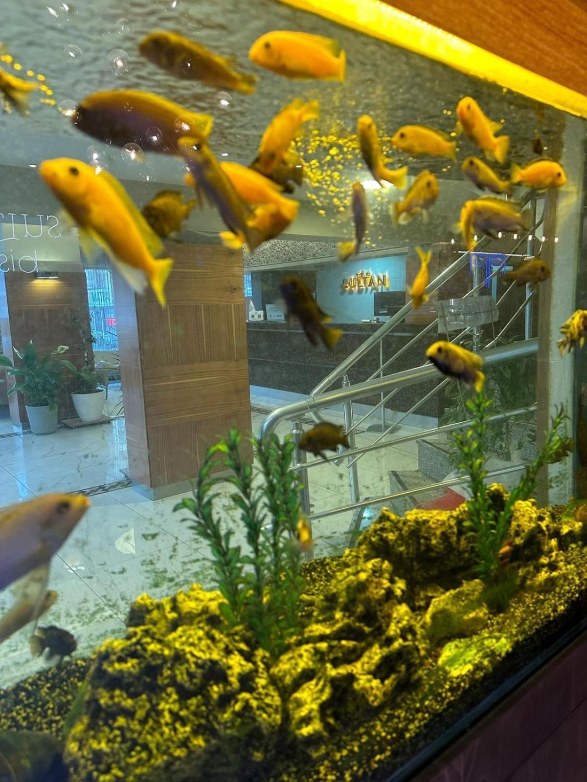 סיבס Sultan Hotel-Restaurant-Bistro מראה חיצוני תמונה